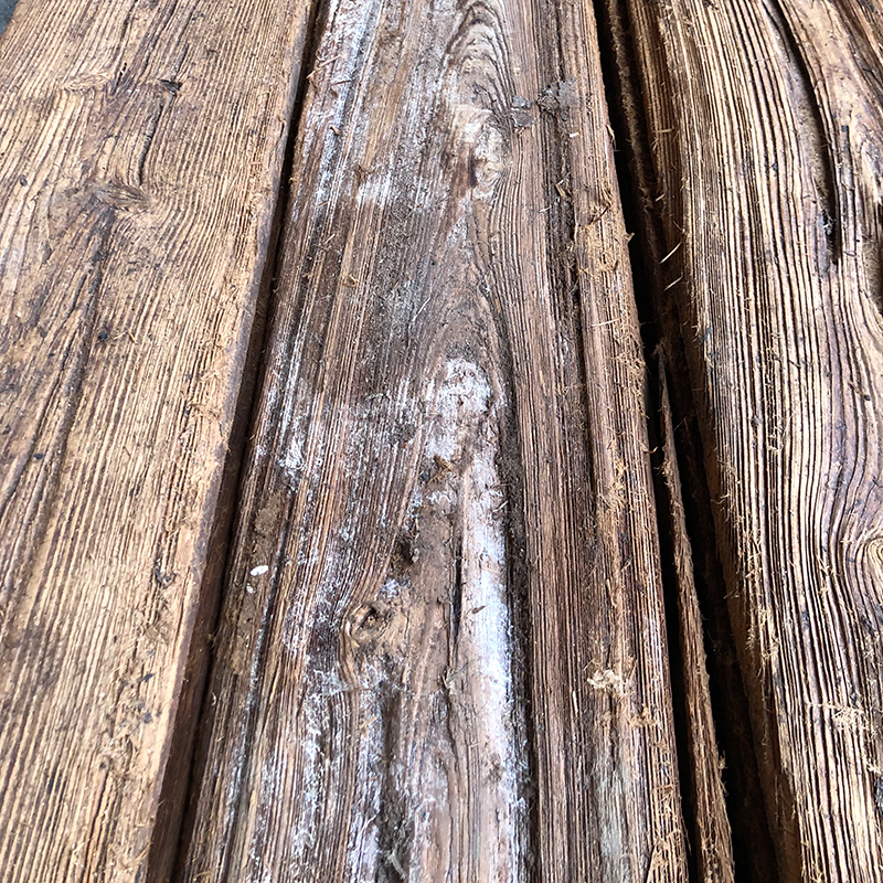 800×800-Mushroom Board-start